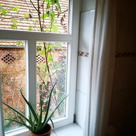 Apartment Zur Alten Muehle In Ruhstadt