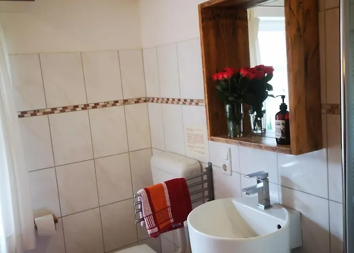 Zur Alten Mühle In Apartment *